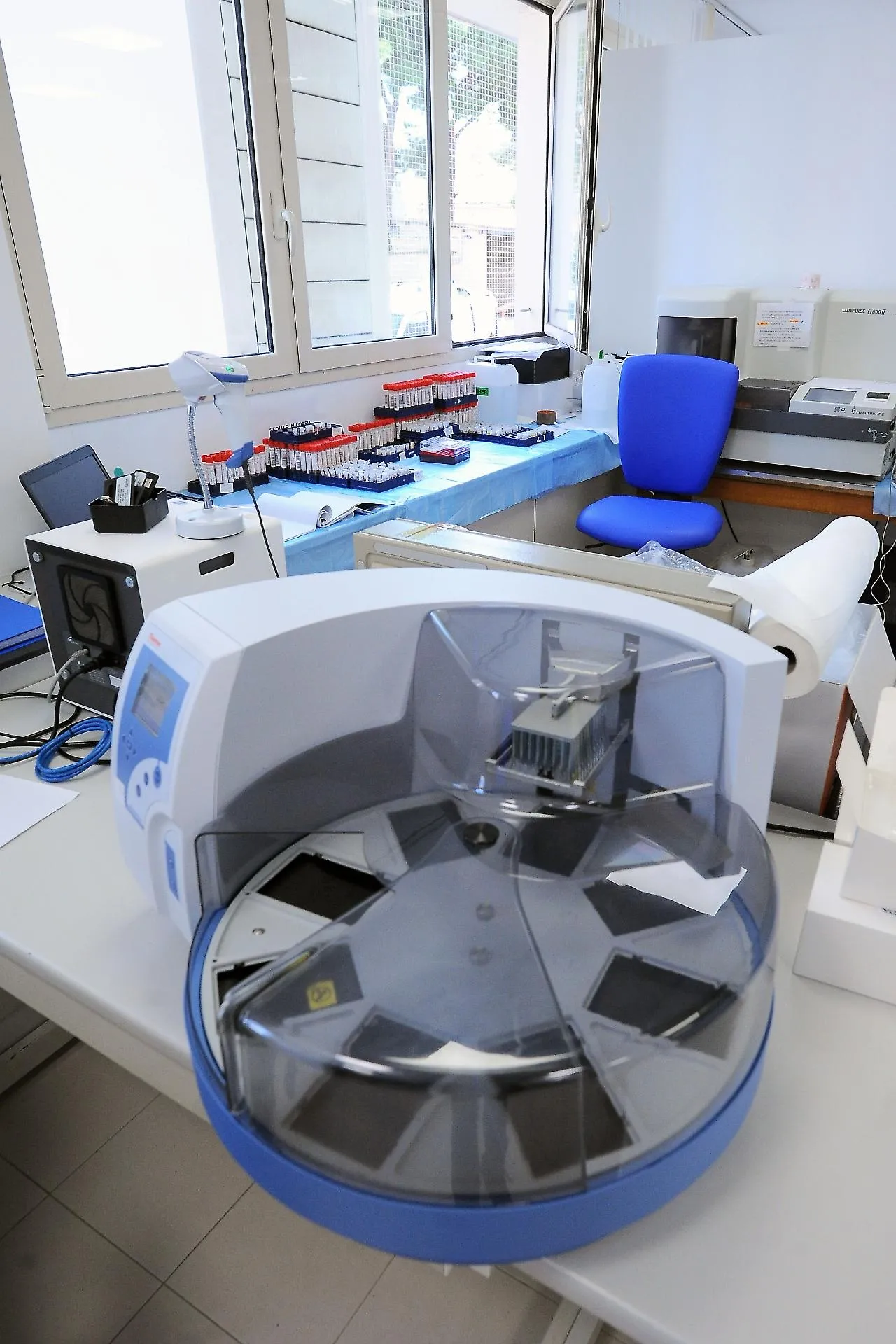 Test per l'Hantavirus Andes in Sicilia: quali sono i laboratori di riferimento a Palermo e Catania