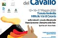Dal 15 al 17 maggio torna alla Tenuta Ambelia la Fiera Mediterranea del Cavallo