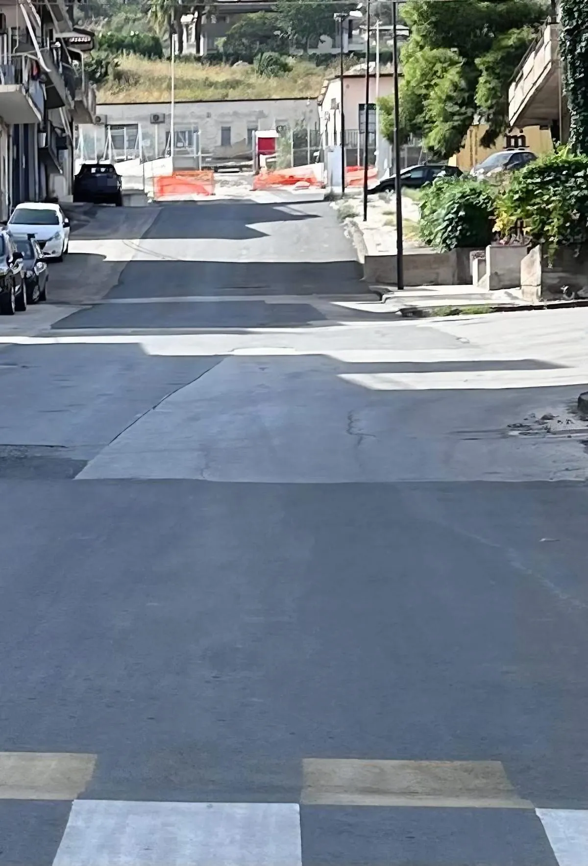 Un punto di viale Libertà dove si aggiravano i gatti avvelenati
