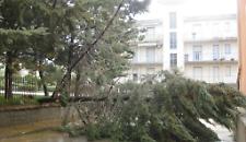 Il ciclone Harry in Sicilia, mercoled&igrave; 21 gennaio allerta gialla a Palermo: riaprono le scuole