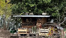 Famiglia nel bosco, &egrave; arrivata la decisione del Tribunale per i Minorenni dell'Aquila