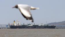 Hormuz e lo scacco matto al dollaro: come l'Iran (con l'aiuto della Cina) ha trasformato l'isolamento in un business da 7 miliardi