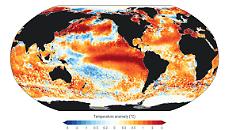Oceani bollenti nell'estate record: perch&eacute; le misurazioni di Copernicus spaventano gli esperti
