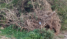 Catania. Parco Gioeni riaperto dopo un anno di lavori: tra aspettative deluse e problemi irrisolti