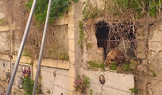 Degrado al Cimitero di Patern&ograve;