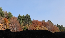 Otto escursioni da fare nella stagione fredda in Sicilia orientale (consigliate da guide e associazioni)