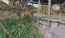 Il parco di via degli Ulivi di Tremestieri Etneo