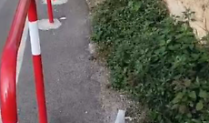 angolo tra via Camillo Camilliani e via Leonardo da Vinci invaso dalle erbacce