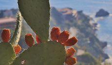 Taormina: poesia tra l'Etna innevato e il Santuario della Madonna della Rocca