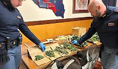 Caltanissetta, serra indoor scoperta in casa: arrestato con oltre 1 kg di droga dopo la segnalazione su YouPol