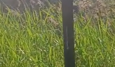 SP212 Vaccarizzo fermata Amts senza cartello