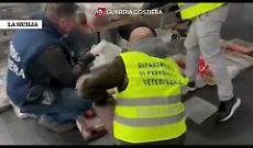 A Misterbianco banchetti da incubo: sequestrati quintali di alimenti mal conservati (Video)