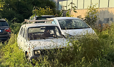 San Giorgio dimenticata: auto abbandonate e vegetazione invadono via Gela e via Ancipa