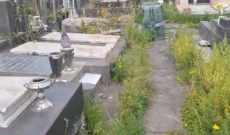 Cimitero di Catania, degrado e mancanza di sicurezza