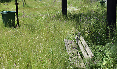 Parco Tremestieri Etneo