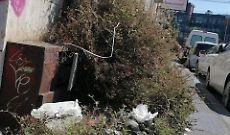 Catania via D'Amico degrado