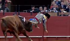 Siviglia, il toro incorna il torero proprio l&igrave;: Morante de la Puebla &egrave; in gravi condizioni