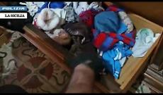 Cani antidroga fiutano la sostanza: arrestato a Catania un 36enne con 38 grammi di hashish