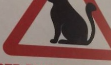 Trecastagni cartelli dissuasori per gatti