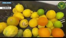 Alimenti non tracciati, lavoratori irregolari e laboratori sporchi: multa e sequestri in un bar a Catania