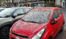 Piazza Cavour, il salotto del Borgo soffocato da rifiuti e incivilt&agrave;