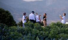 Musica e teatro all'ombra dell'Etna, due cantine uniscono i loro progetti in un calendario estivo