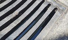 Via Crociferi, tombino otturato e pieno d'acqua: "Le zanzare ringraziano, ma con le piogge sar&agrave; un problema serio"