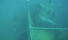 I fondali del porticciolo di Ognina pieni di relitti e rifiuti: il video