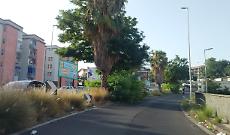 Traffico a rischio a Fasano, Catania: erba e arbusti soffocano marciapiedi e carreggiata
