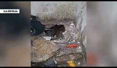 Smantellato un "fortino" videosorvegliato dello spaccio a San Cristoforo: arrestato 38enne