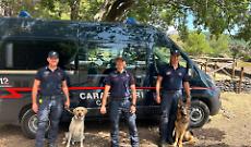 Alla ricerca di armi e droga sull&rsquo;Etna. I &ldquo;nasi&rdquo; di Ciro e Hugo sono infallibili VIDEO