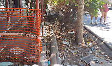 Segnalazione di degrado e mancata pulizia in Viale Vittorio Veneto, Catania