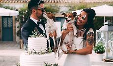 Fiori d&rsquo;arancio e amici a quattro zampe: cos&igrave; il wedding dog sitter &egrave; diventato il "mai pi&ugrave; senza" dei matrimoni vip