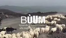 Mistero sull'Etna: il gregge tra la cenere nera fa il giro dei social