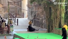 Cina, orso nero aggredisce il suo addestratore dello zoo durante uno show: il video fa il giro del web