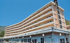 Francavilla, la mandragora finisce in tavola: coppia di ultrasessantenni in gravi condizioni