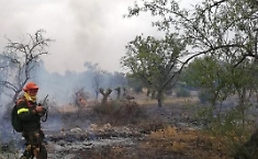 Pi&ugrave; ore di lavoro per 16 mila forestali in Sicilia, l'Ars approva la norma