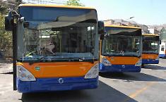 Pensilina Amat sradicata e rubata allo Zen