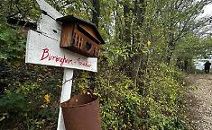 Famiglia nel bosco, legali presentano nuova istanza: "I bimbi usano anche cucchiaini di plastica"