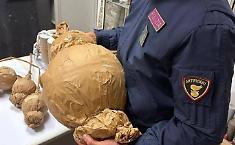 Su un furgone con oltre 220 kg di botti pericolosi: "Sono per la famiglia e i vicini di casa". E la Polizia li arresta