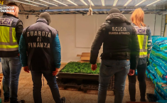 Droga nascosta tra i bancali di frutta e verdura: blitz tra la Sicilia e Barcellona