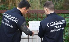 Gli imprenditori agricoli e la cresta sui contributi dell'Unione Europea, maxi inchiesta con 22 indagati