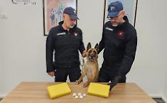 Palermo, due chili di cocaina nel vano della cucina a gas: stop a un giro da 300mila euro, arrestato un 34enne