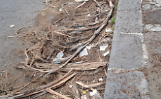 Sporcizia in via Scammacca