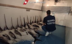Stretta sul pesce illegale in Sicilia orientale, maxi blitz in mare e a terra: sequestri e multe