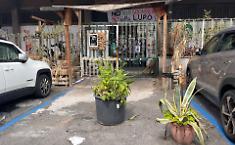 Sgombero di Palestra Lupo e la citt&agrave; a un bivio: &laquo;Bisogna creare un "hub" sociale per la citt&agrave;, proponiamo l'ex Cgil&raquo;