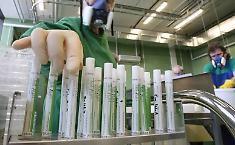 Virus aviaria in Lombardia: paziente rientrato dall'Africa resta caso isolato