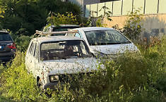 San Giorgio dimenticata: auto abbandonate e vegetazione invadono via Gela e via Ancipa