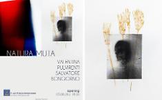 "Natura Muta", la fotografia senza fotocamera e le memorie botaniche