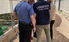 Lotta al caporalato, 18 aziende agricole irregolari nel Palermitano